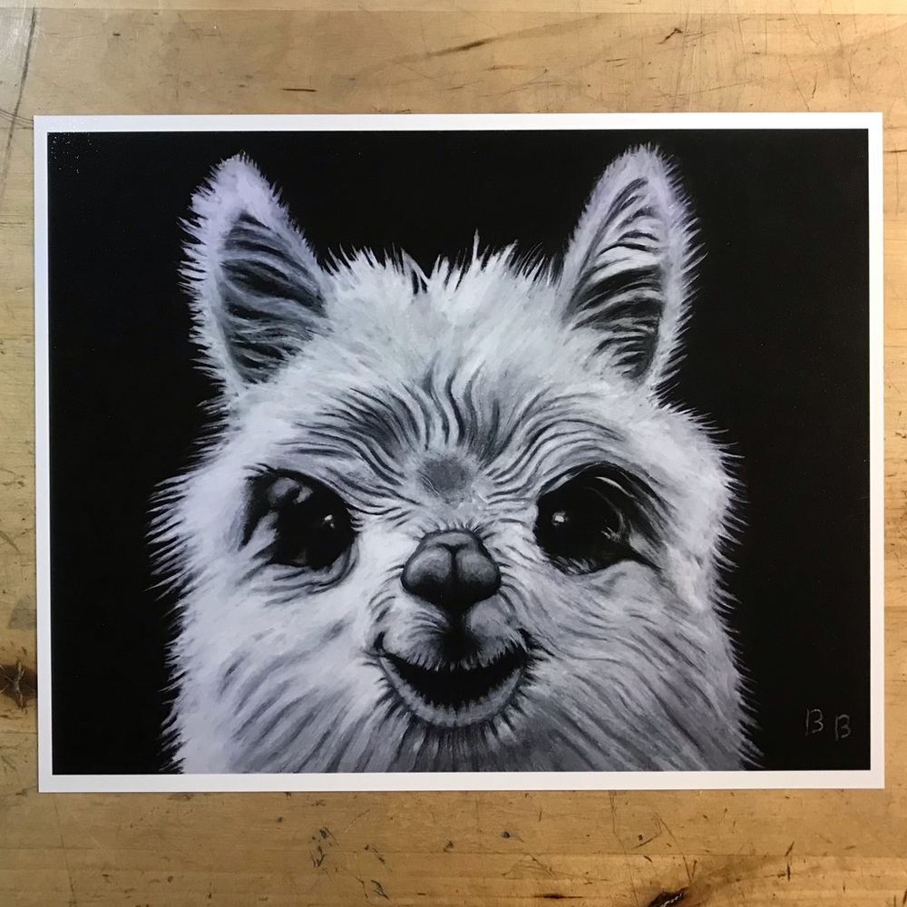 Alpaca Original Art Print! 🦙